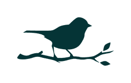 Sparrow
